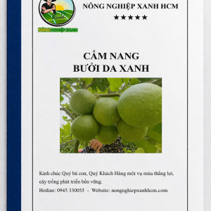 cung-anh-dinh-quoc-tim-hieu-ve-san-pham-cua-nong-nghiep-xanh-va-quy-trinh-cham-soc-buoi-da-xanh-tu-cay-kien-thiet-den-cay-kinh-doanh-va-cac-san-pham-theo-giai-doan-tuong-ung
