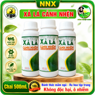 XẢ LÁ CÀNH NHỆN | ĐÁNH THỨC MẦM NGŨ - GIÚP RA HOA TẬP TRUNG