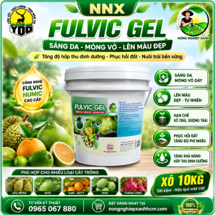 FULVIC GEL | SÁNG DA - MỎNG VỎ - LÊN MÀU ĐẸP