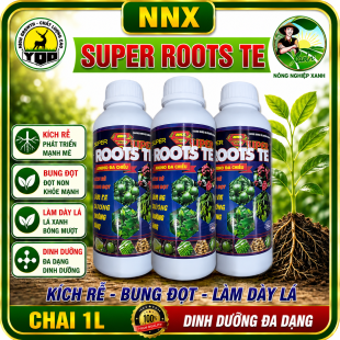 STAR SUPPER ROOTS TE | KÍCH RỄ - BUNG ĐỌT - LÀM DÀY LÁ