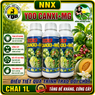 YOO CANXI+MG | TĂNG SỨC ĐỀ KHÁNG - HẠN CHẾ RỤNG BÔNG, TRÁI NON