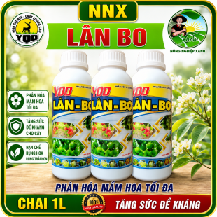 YOO LÂN BO | PHÂN HÓA MẦM HOA TỐI ĐA 
