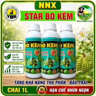 STAR BO KẼM | HẠN CHẾ RỤNG TRÁI – TĂNG THỤ PHẤN VÀ ĐẬU TRÁI – HẠN CHẾ NHŨN NGỌN ĐỖ NGÃ