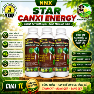 STAR CA-N ENERGY | XANH CÂY  - BÓNG QUẢ 