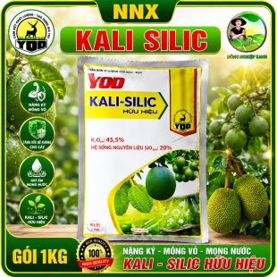 KALI SILIC | NẶNG KÝ - MỎNG VỎ - MỘNG NƯỚC