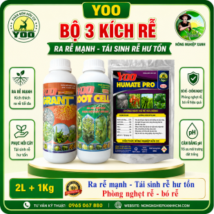 BỘ 3 KÍCH RỄ (BỘ SỐ 3) | RA RỄ MẠNH, PHÓNG ĐỌT – KHÔNG LO VÀNG LÁ, NGHẸT RỄ, BÕ RỄ 