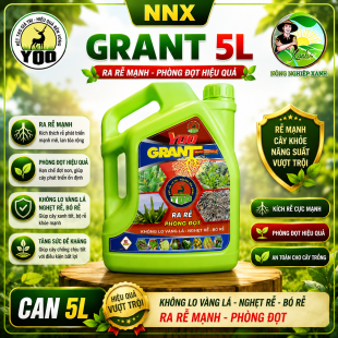 YOO GRANT 5L | KÍCH RỄ, RA RỄ, PHÓNG ĐỌT – KHÔNG LO VÀNG LÁ, NGHẸT RỄ, BÓ RỄ