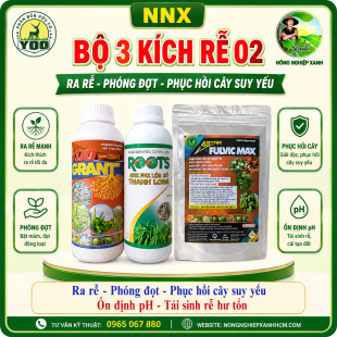 BỘ 3 KÍCH RỄ(BỘ SỐ 2) | DƯỠNG RỄ – PHÒNG NGHẸT RỄ – BÓ RỄ