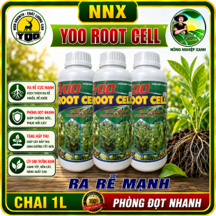 YOO ROOT CELL | RA RỄ MẠNH - PHÓNG ĐỌT NHANH