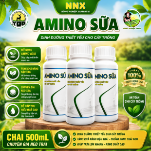 AMINO SỮA | CHUYÊN NEO TRÁI - DINH DƯỠNG THIẾT YẾU CHO CÂY TRỒNG