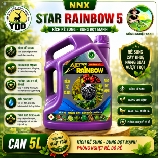 STAR RANIBOW 5L | KÍCH RỄ SUNG - BUNG ĐỌT MẠNH - PHÒNG NGHẸT RỄ, BÓ RỄ