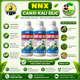 CANXI KALI SILIC - CHỐNG RỤNG CẤP TỐC
