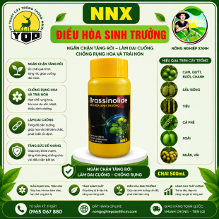 BRASSINOLIDE | ĐIỀU HÒA SINH TRƯỞNG - HORMONE NỘI SINH THỰC VẬT