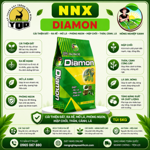 DIAMON - PHỤC HỒI CÂY TRỒNG