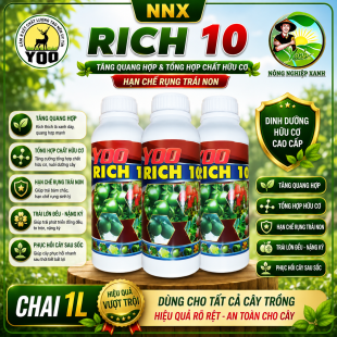 YOO RICH 10 | CHUYÊN NUÔI TRÁI – TĂNG KHẢ NĂNG QUANG HỢP VÀ TỔNG HỢP CHẤT HỮU CƠ