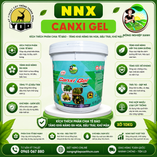 CANXI GEL - TĂNG KHẢ NĂNG ĐẬU TRÁI