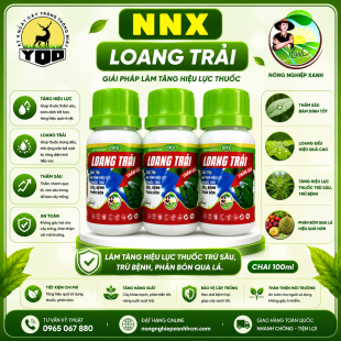 LOANG TRẢI - SIÊU THẤM SÂU
