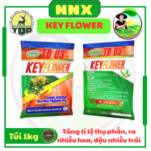KEY FLOWER - RA NHIỀU HOA, ĐẬU NHIỀU TRÁI
