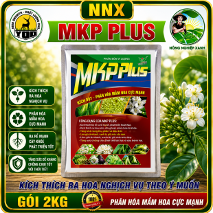 MKP PLUS (NPK 0-52-34) | CHẶN ĐỌT - PHÂN HÓA MẦM HOA CỰC MẠNH