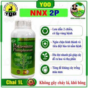 NNX-2P | POTASSIUM PHOSPHONATE - LÂN KALI HỮU HIỆU