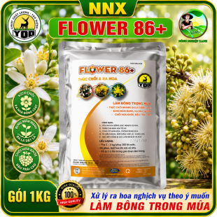 YOO FLOWER 86+ | LÂN 86 | XỬ LÝ LÀM BÔNG NGHỊCH VỤ THEO Ý MUỐN