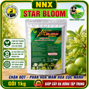 STAR BLOOM | CHẶN ĐỌT - PHÂN HÓA MẦM HOA CỰC MẠNH