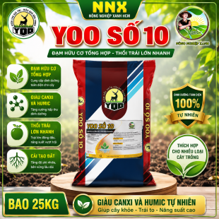 YOO SỐ 10 (BAO 25KG) 