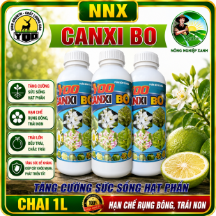 CANXI BO | TĂNG THỤ PHẤN VÀ ĐẬU TRÁI – HẠN CHẾ RỤNG HOA VÀ TRÁI NON