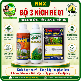 BỘ SẢN PHẨM DƯỠNG RỄ(BỘ 1) – KÍCH RỄ CÂY CON