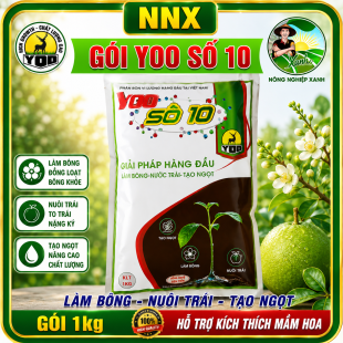 YOO SỐ 10 | LÀM BÔNG - NUÔI TRÁI - TẠO NGỌT