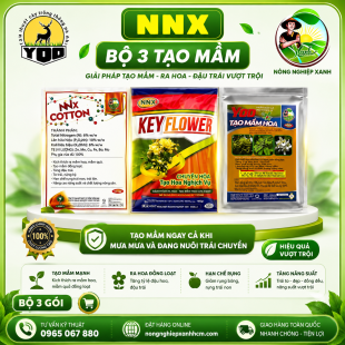 BỘ BA SẢN PHẨM TẠO MẦM - TẠO MẦM NGAY CẢ KHI MƯA DẦM VÀ ĐANG NUÔI TRÁI CHUYỀN