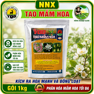 YOO TẠO MẦM HOA | PHÂN HÓA MẦM HOA TỐI ĐA - HOA RA NHIỀU - ĐỒNG LOẠT