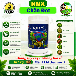 NNX-CHẶN ĐỌT | GIÀ LÁ KHI CHƯA MỞ LÁ