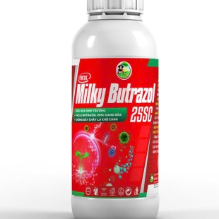 MILKY BUTRAZOL - KÍCH THÍCH RA HOA