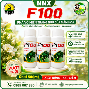 F100 | KÍCH BÔNG – KÉO MẦM 