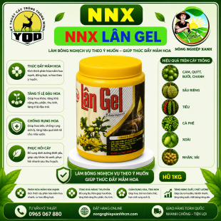 NNX LÂN GEL | THÚC ĐẨY MẦM HOA  - XỬ LÝ RA HOA THEO Ý MUỐN - HOA RA TẬP TRUNG
