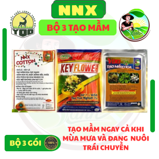 BỘ BA SẢN PHẨM TẠO MẦM - TẠO MẦM NGAY CẢ KHI MƯA DẦM VÀ ĐANG NUÔI TRÁI CHUYỀN