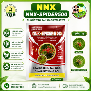 NNX-SPIDER 500