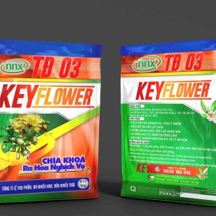 KEY FLOWER - RA NHIỀU HOA, ĐẬU NHIỀU TRÁI